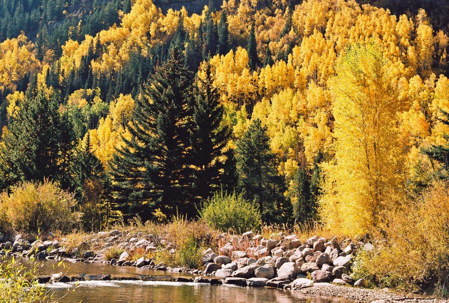 Vail Racquet Club Mountain Resort Exterior foto